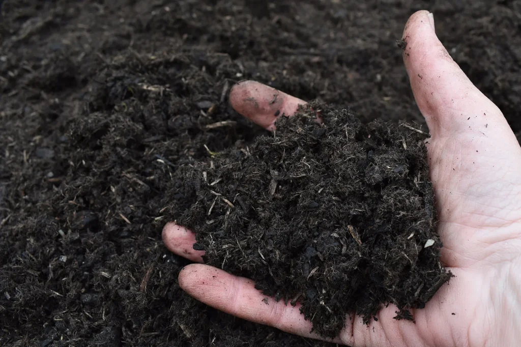 Hand in torffreier Erde